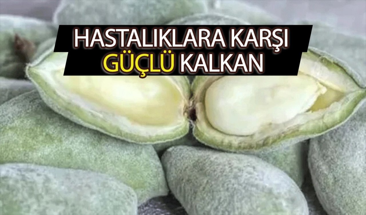 Tezgahtaki bomba meyve! Bağırsaklarınız anında çalışsın! Acele edin 20 gününüz var