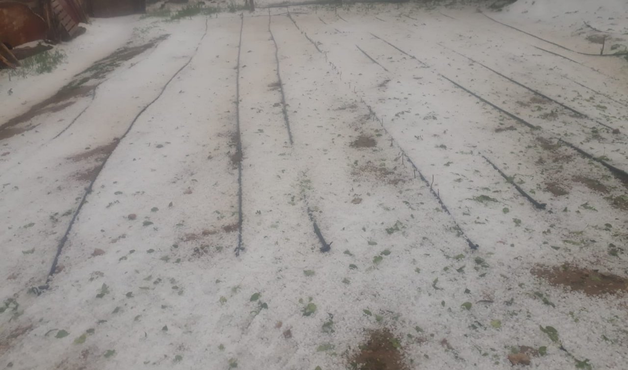 Konya’da dolu ekili arazilere zarar verdi