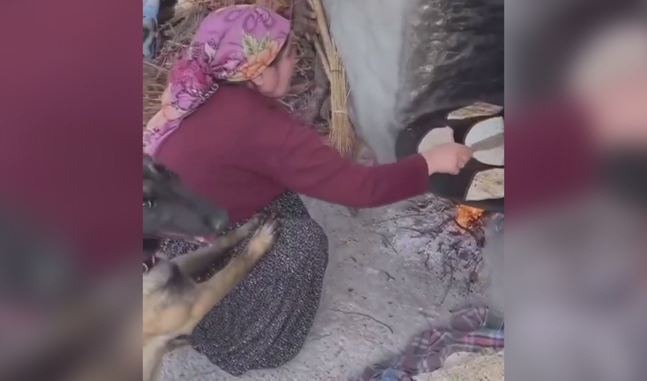 Köpeğin börek nöbeti  