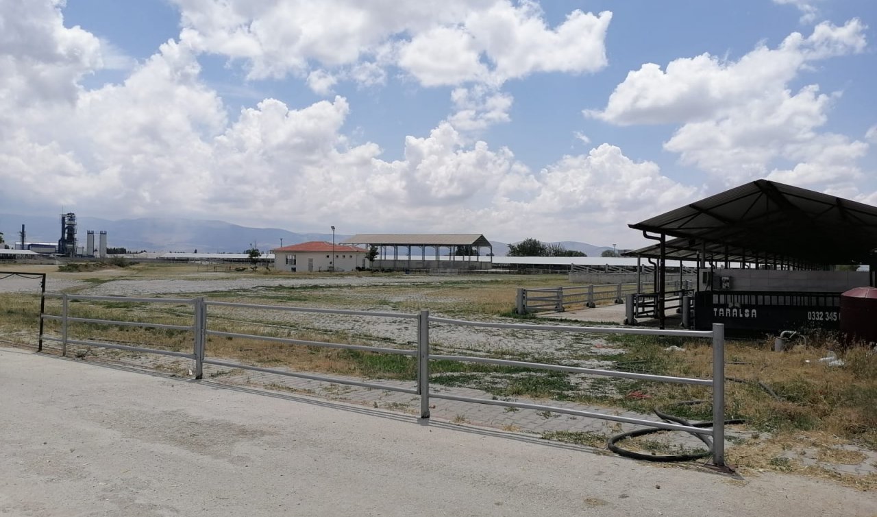 Ereğli’de canlı hayvan pazarı tedbir amaçlı kapatıldı