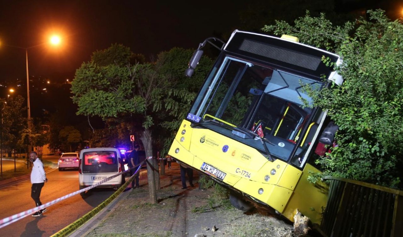 Park halindeki otobüs evin bahçesine düştü