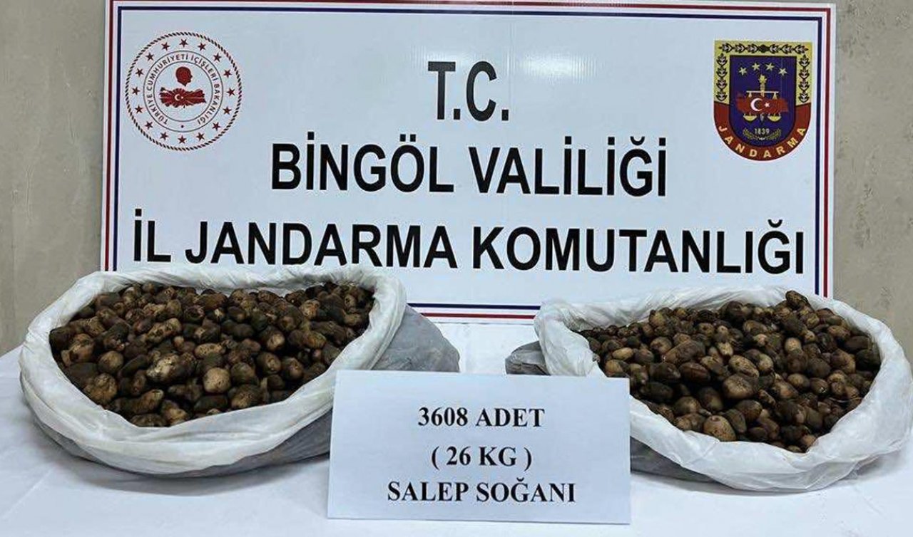 Kaçak salep soğanı toplayan 2 kişiye 488 bin lira ceza