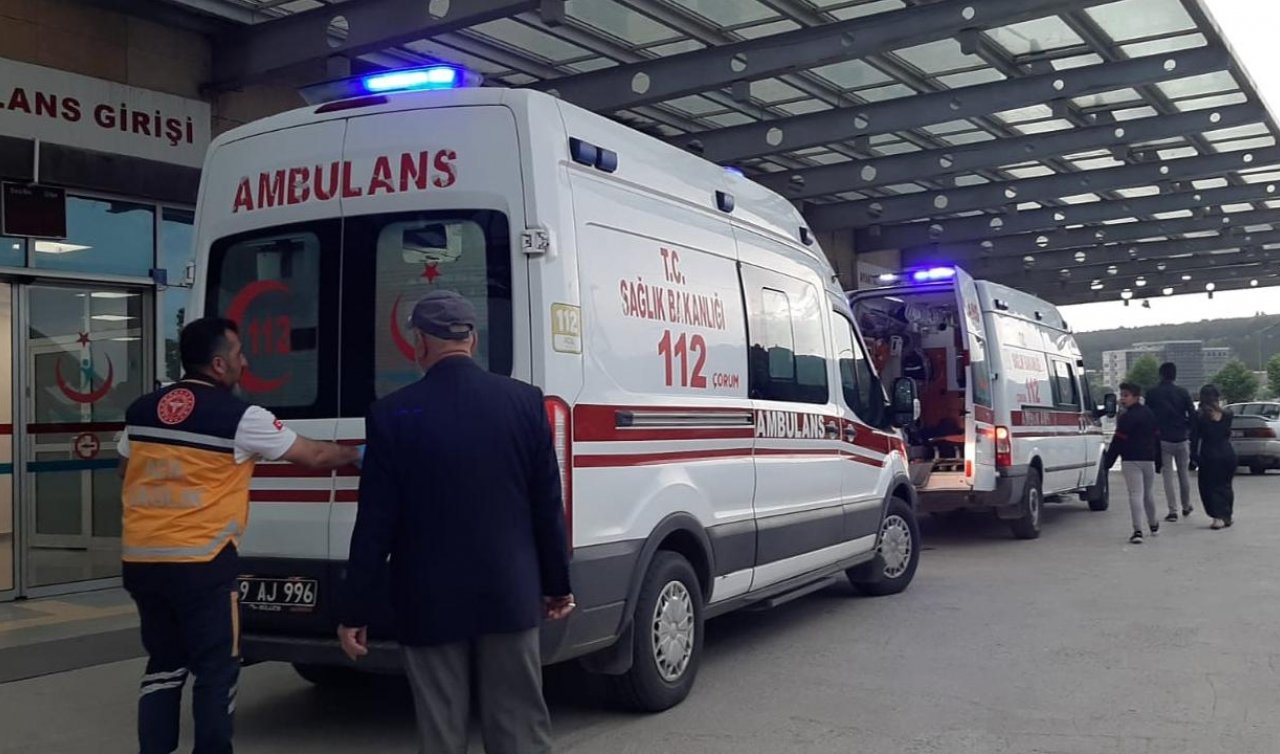 Mantar yiyen 10 kişi hastanelik oldu