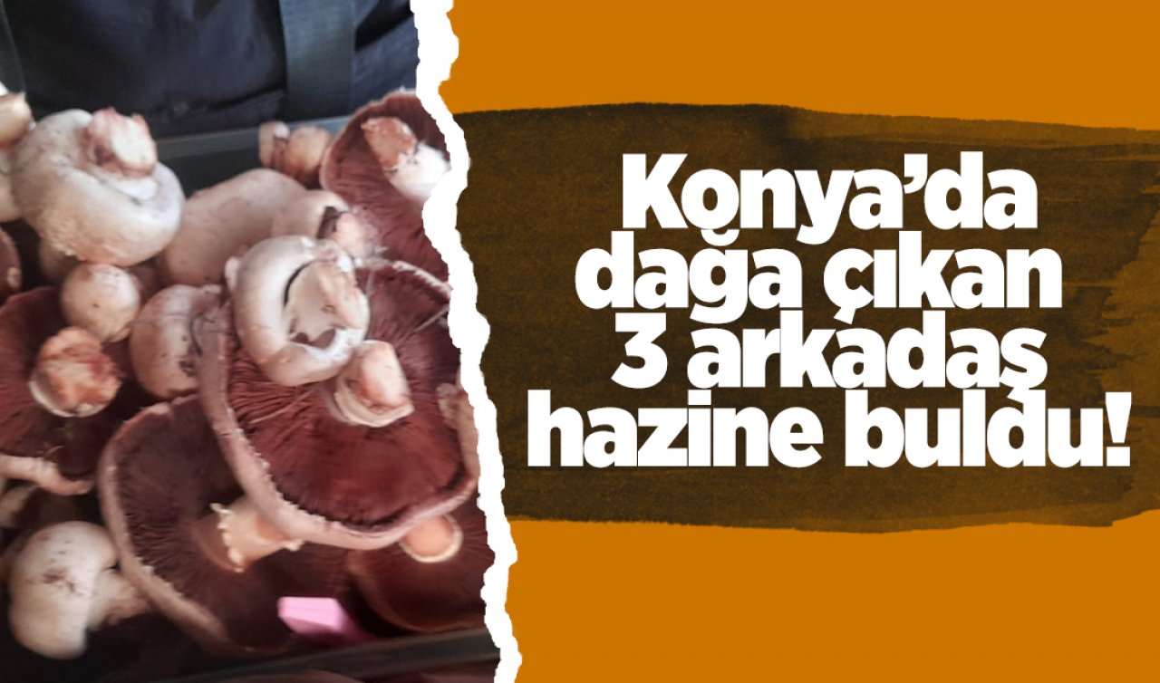 Konya’da dağa çıkan 3 arkadaş hazine buldu!