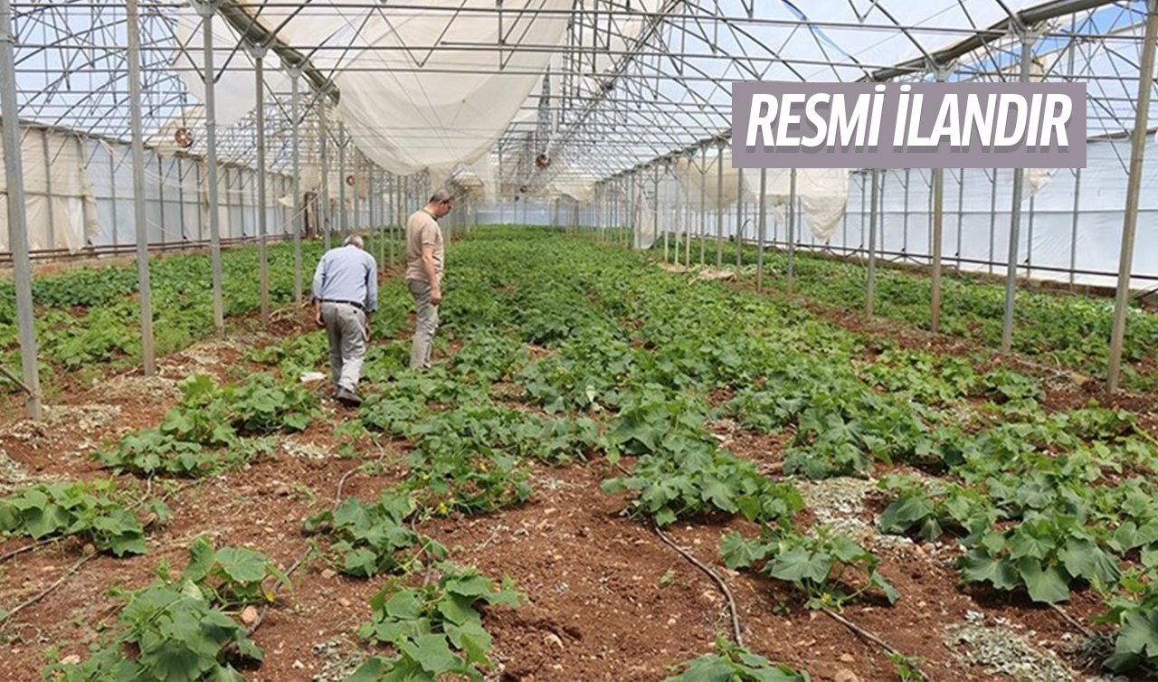 525 metre kare sera alımı yapılacak