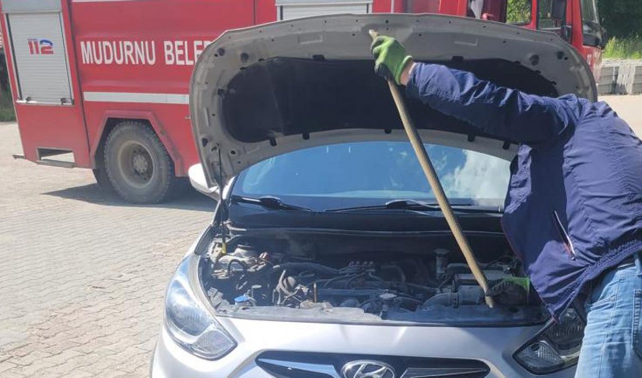 Aracı olanlar dikkat! Otomobilin motor kısmından yılan çıktı