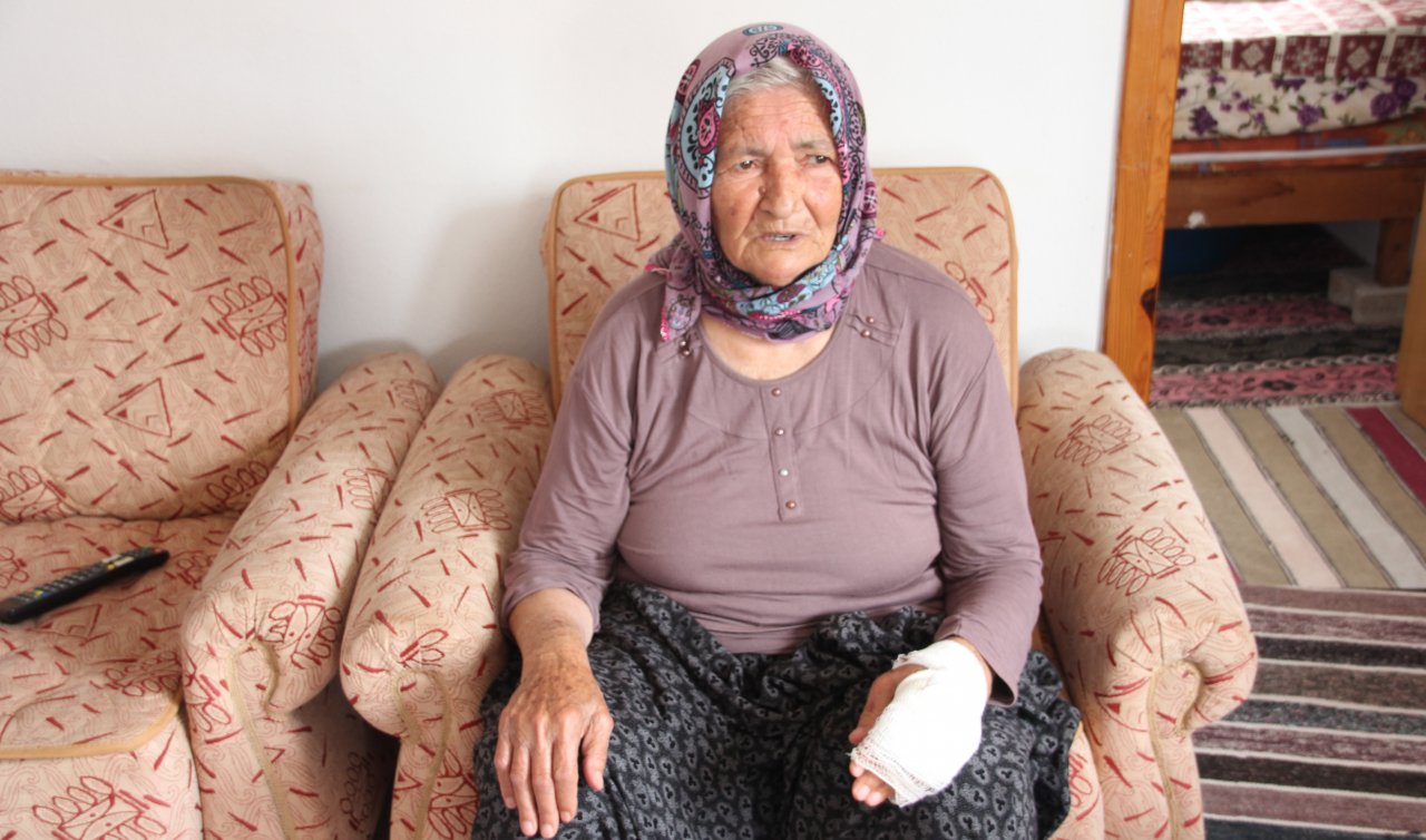 Sahipsiz köpek yaşlı kadına saldırdı