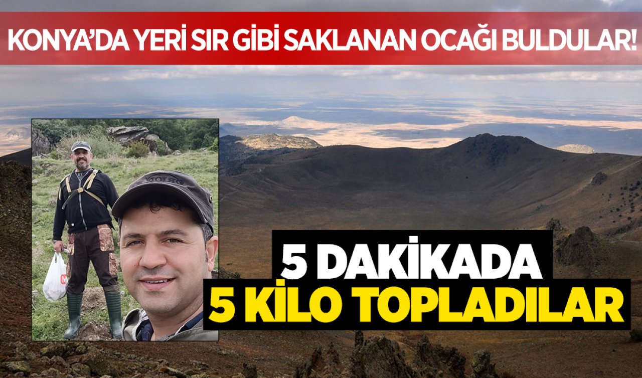  Konya’da yeri sır gibi saklanan ocağı buldular! 5 dakikada 5 kilo topladılar