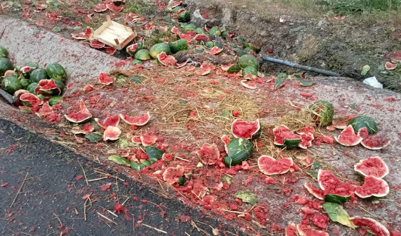 Kamyonet devrildi tonlarca karpuz yola saçıldı