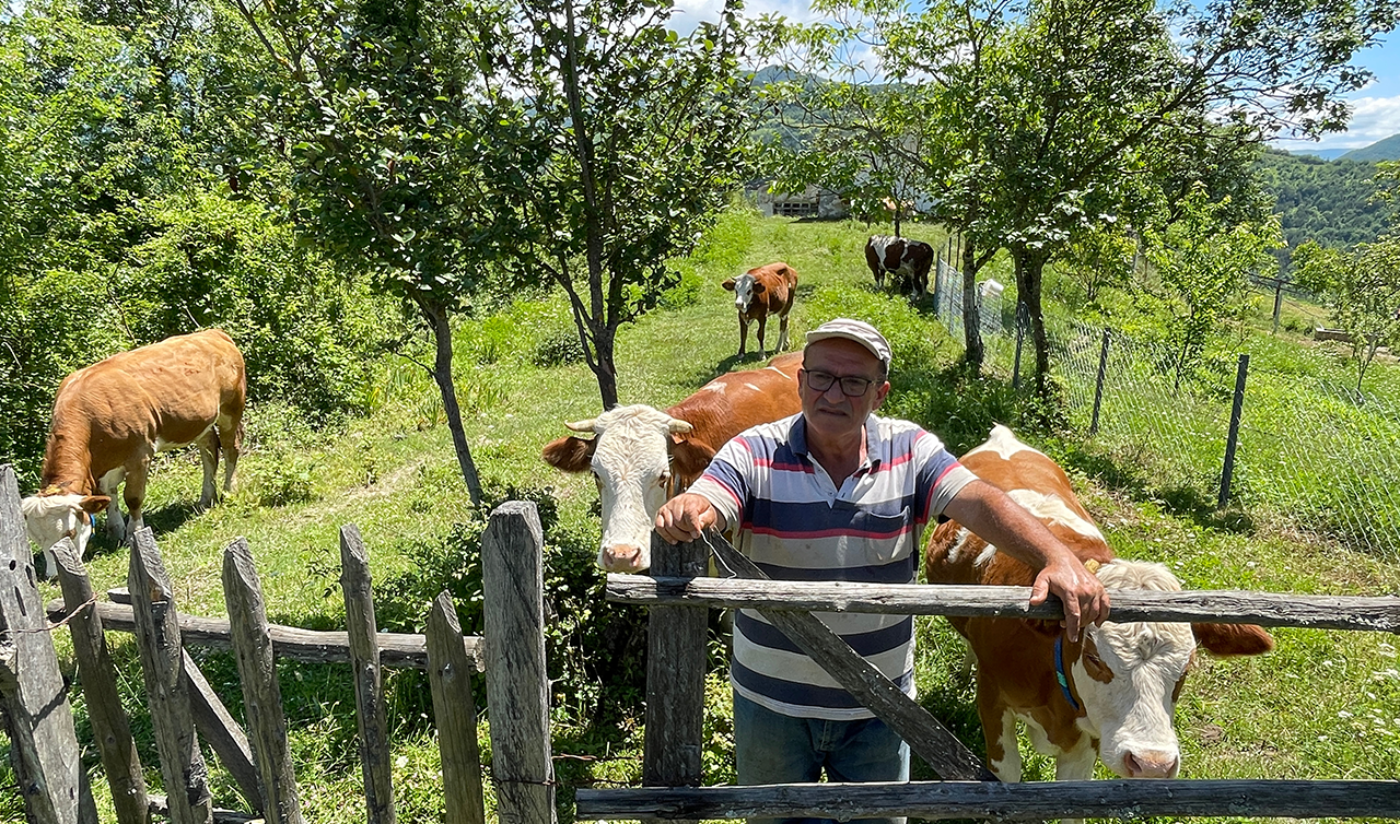 Kurban öncesi şap tehlikesi! Bir il daha karantinaya alındı