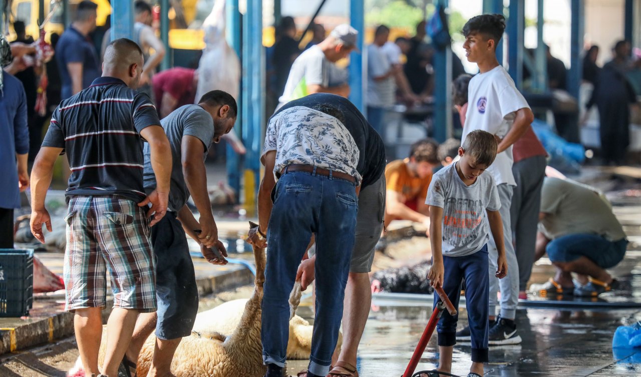 Kurban kesecekler dikkat! Bu kurala uymayanlara para cezası kesilecek