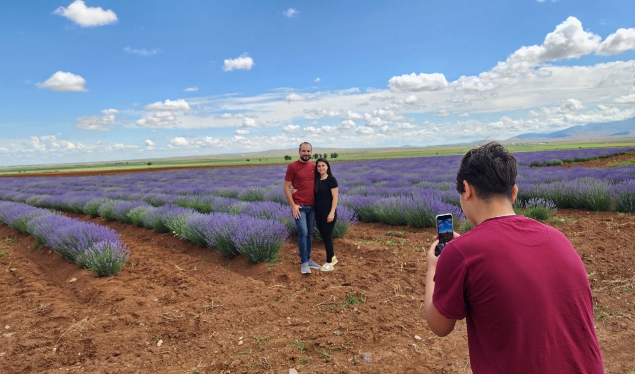 60 dönümden büyük: Turist çeken tarlalar mor renge dönmeye başladı