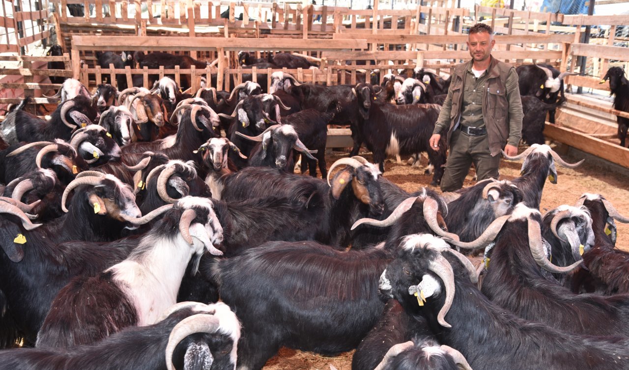 Selçuklu’da kurban satış ve kesim yerleri hazır! 18 nokta belirlendi 