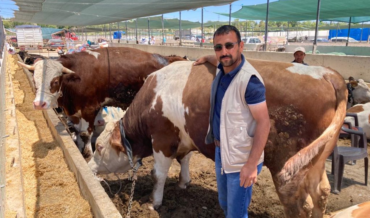 Konya’nın hayvan pazarında fiyatlar belli oldu! Rekor satış 124  bin liraya “Karabıyık’’oldu