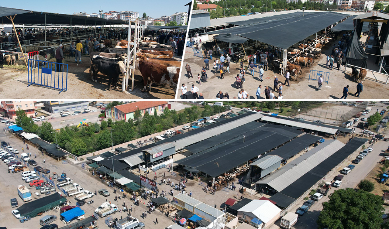 Konya’nın bu ilçesine yeni hayvan pazarı açıldı!