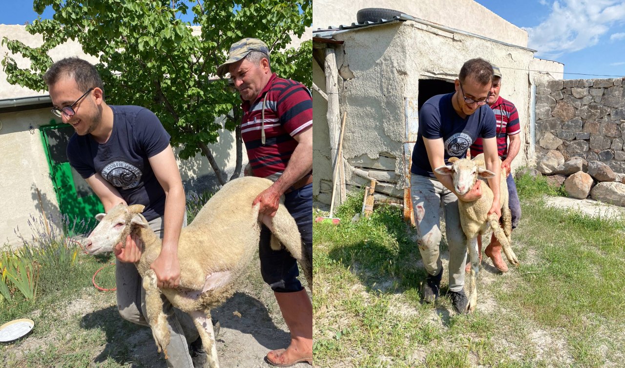 Konya’da kurban kesim telaşı başladı! Kurban kesim vakti ne zaman başlar ve biter? Kurban keserken okunacak dualar