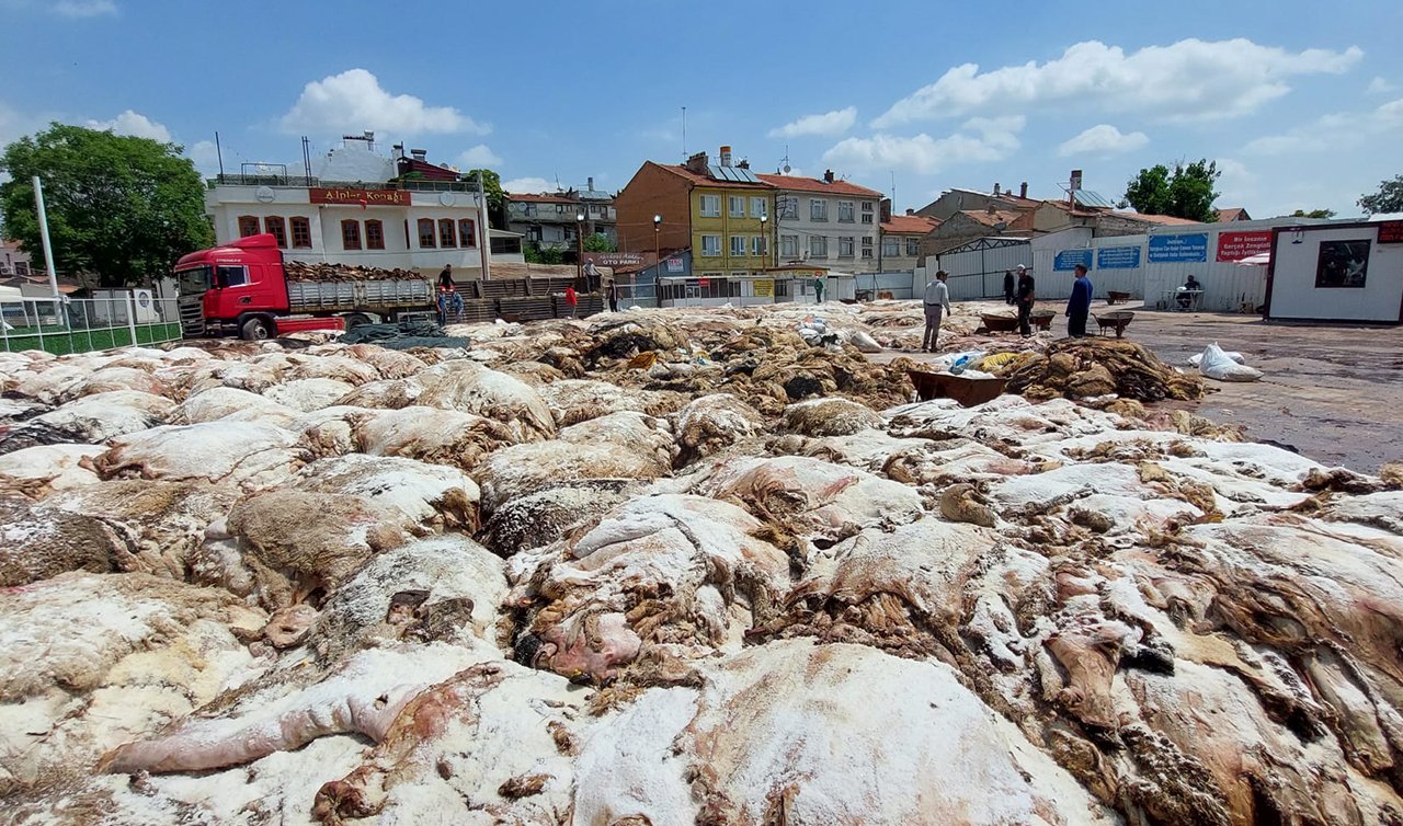Fiyatı sizi çok şaşırtacak: Kurban derisi kaç TL?