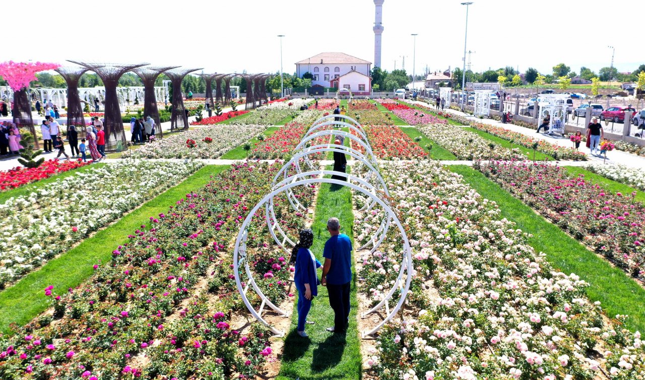 Konya’da görsel şölen oluşturuyor! Gül Bahçesi ilk kez ziyaretçilere açıldı 