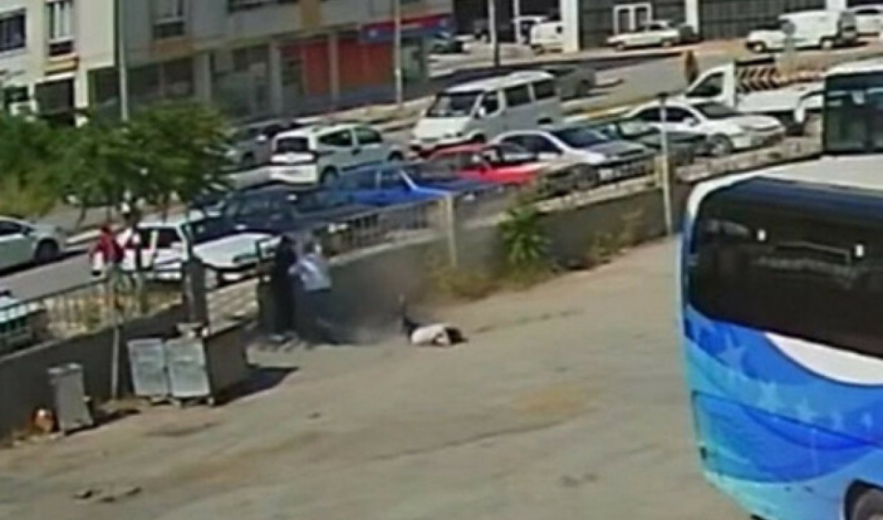 Otogarda vahşet! Tıp mezunu otobüs şoförü cinayete kurban gitti