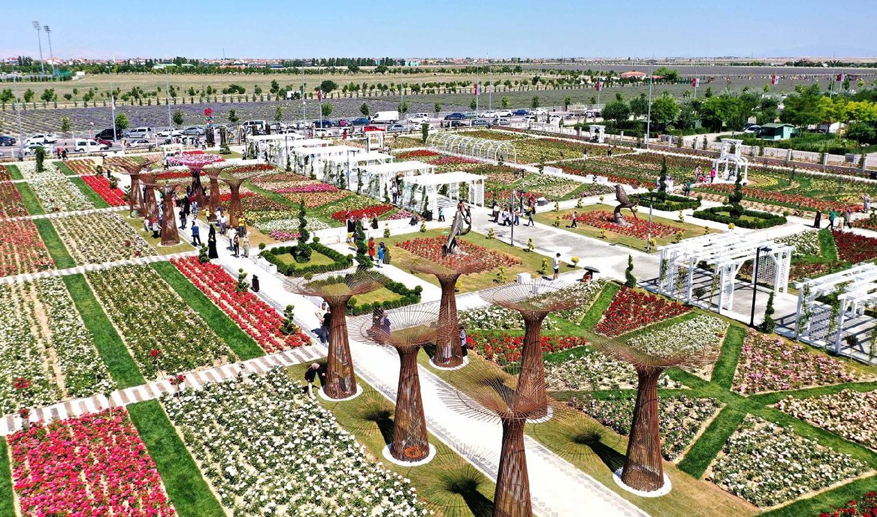Karatay Mevlana Gül Bahçesi nerede: Gül bahçesine nasıl gidilir? Tam 13 bin 700 metrekare