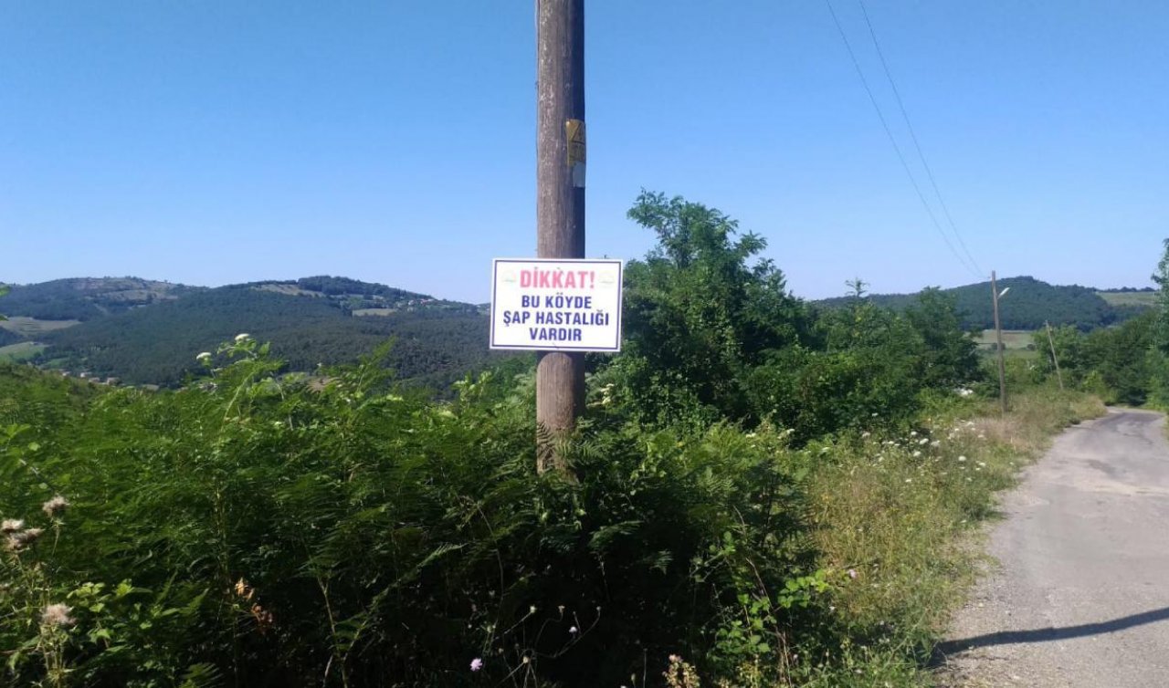 Şap hastalığı görüldü: 136 köy karantinada