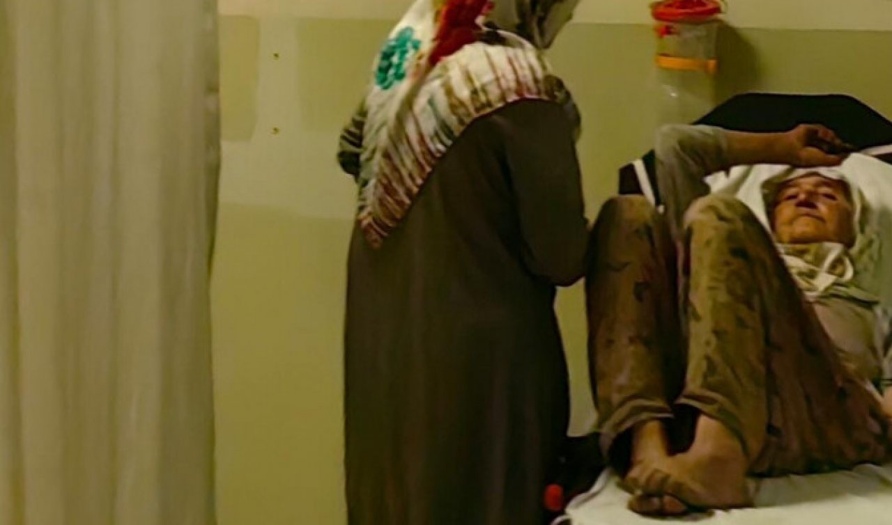 Çilek toplarken elini yılan ısırdı