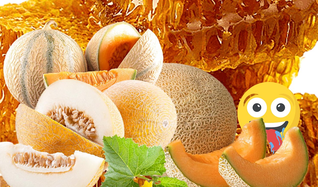 Kavun nasıl seçilir? En tatlı kavun nasıl anlaşılır? Tatlı kavun seçmenin püf noktaları