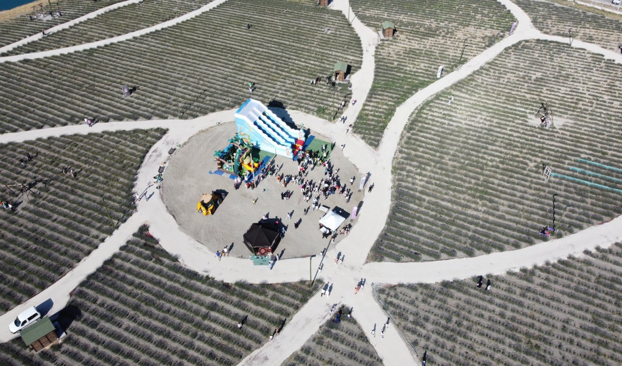 Karapınar’da lavanta festivali düzenlendi
