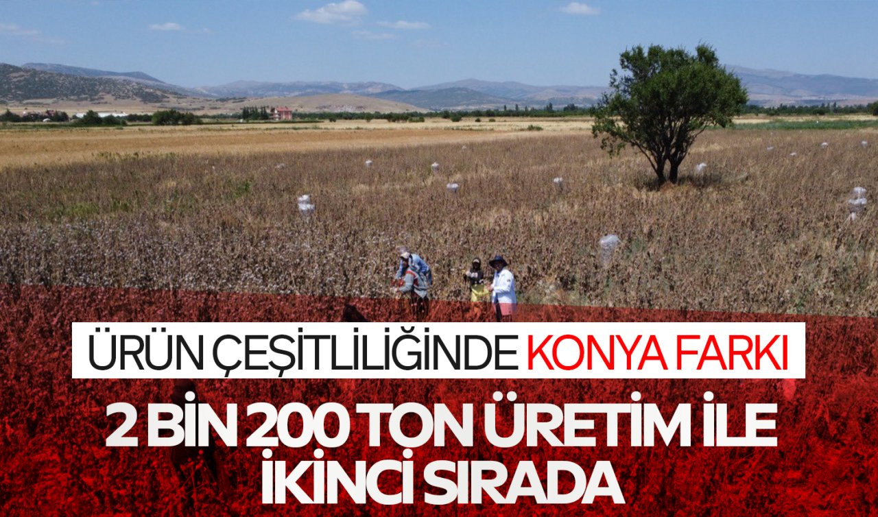 Ürün çeşitliliğinin kalbi Konya’da atıyor! 2 bin 400 ton üretim ile 2.sırada