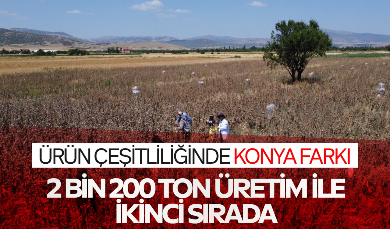  Ürün çeşitliliğinin kalbi Konya’da atıyor! 2 bin 400 ton üretim ile 2.sırada