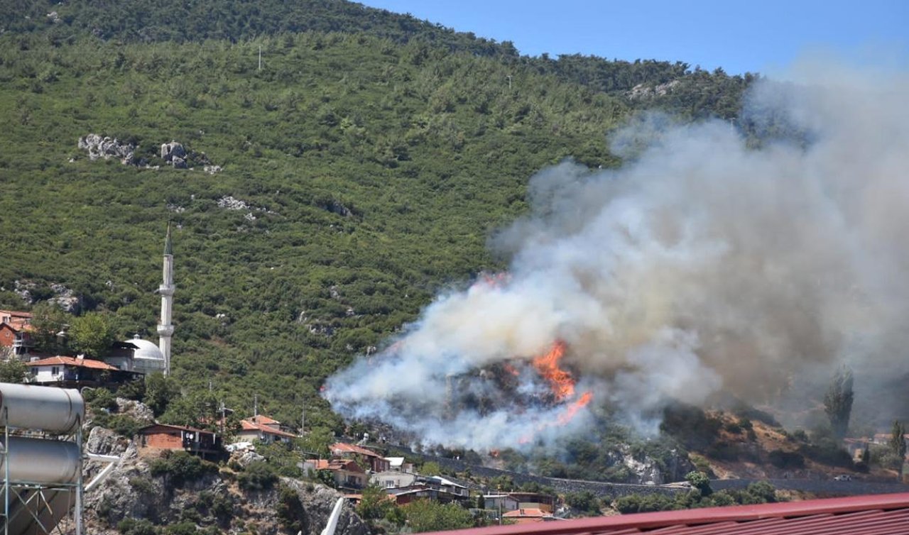 İzmir’de orman yangını: Havadan ve karadan müdahale ediliyor