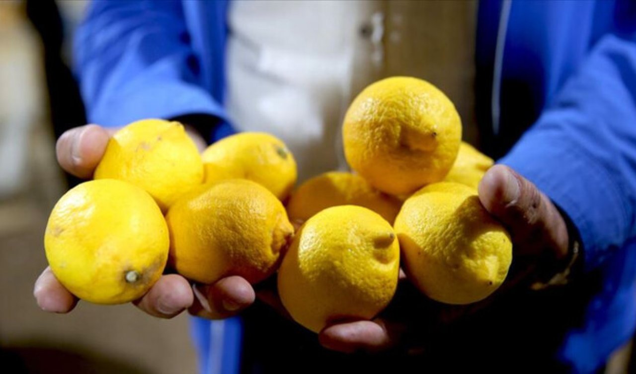Limon kabuklarını sıcak suya atmak bakın ne işe yarıyormuş! O ağrıyı çekenlere büyük şifa...