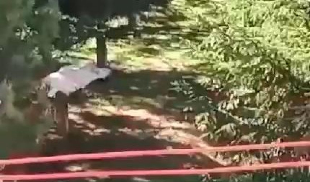  13 yaşındaki çocuk parkta ölü bulundu