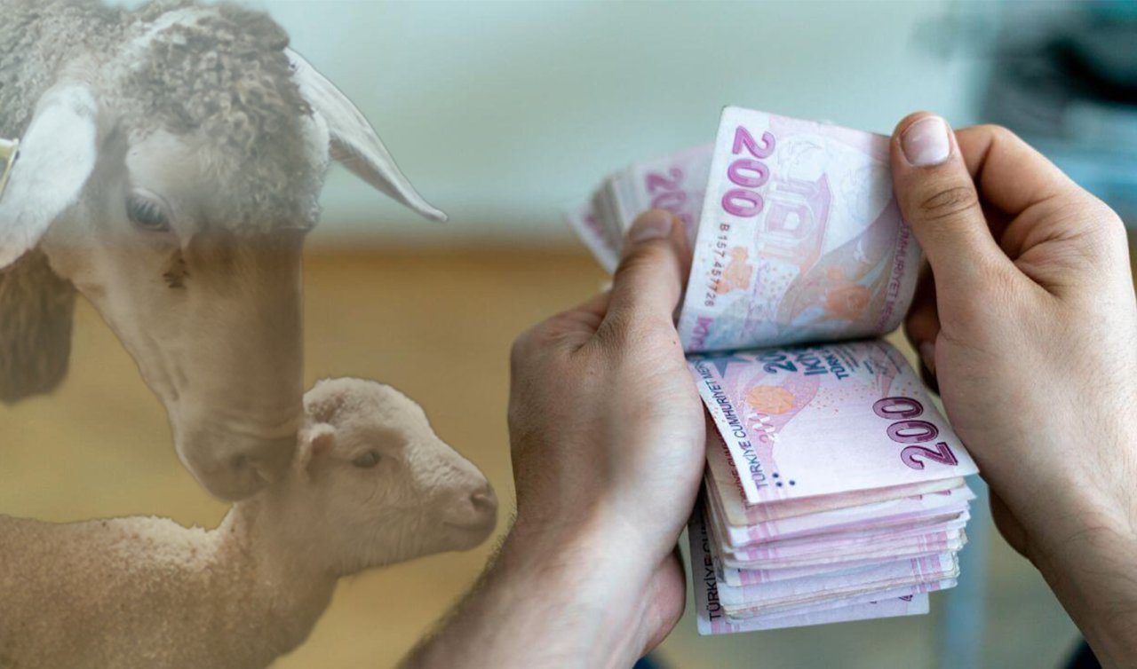 Para kazanmak isteyenlere büyük fırsat: Yıllık ortalama 973 bin TL kazancı var