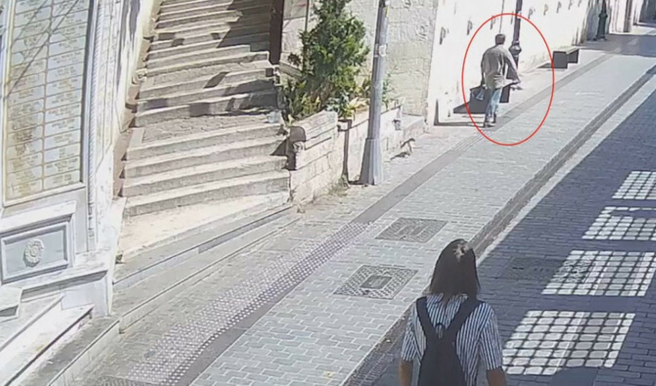 Kezzap ve asitle kedileri yaktı! O saldırgana verilen ceza belli oldu