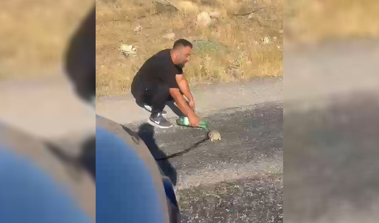 Konya’da sıcaktan etkilenen kaplumbağaya su içirdi