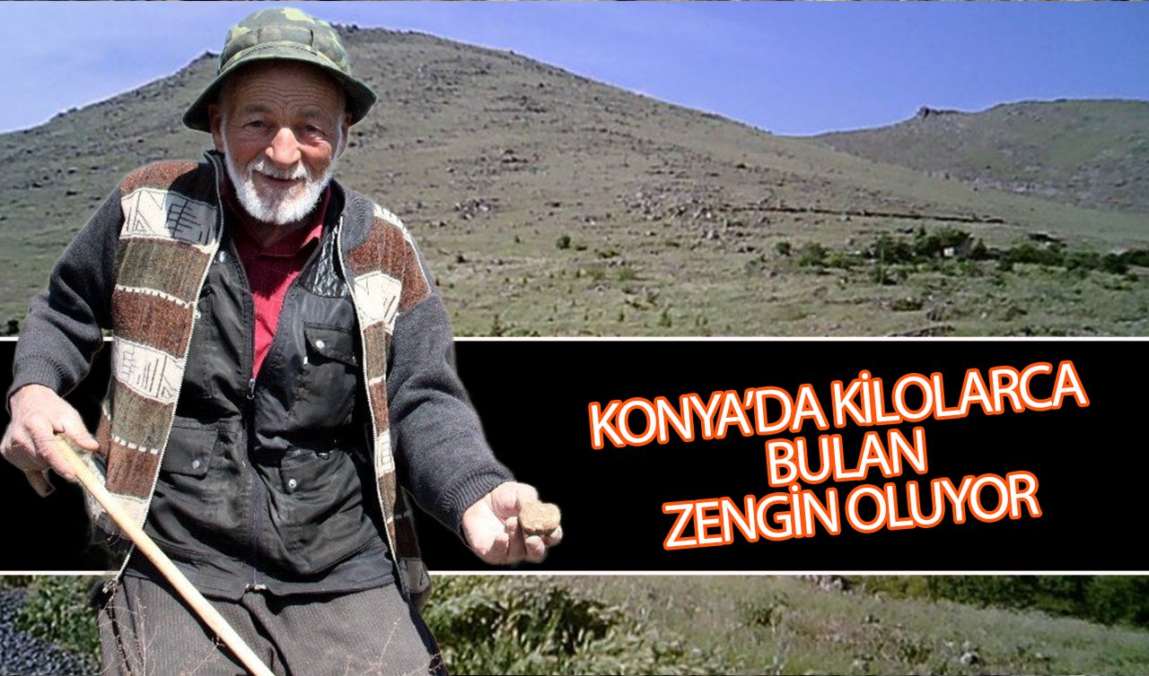 Konya’da bu dağa çıkan altın buluyor! Konyalılar bile yerini bilmiyor