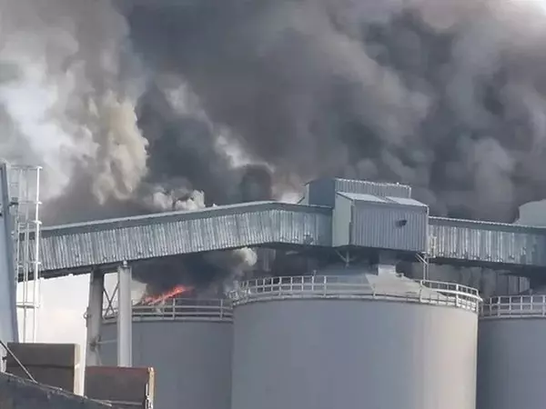 fransa silo yangın