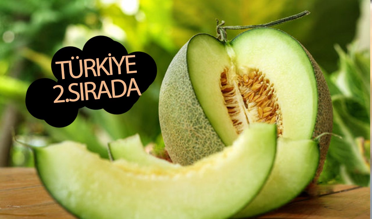 Dünyada en çok kavun üreten ülke hangisi? Türkiye 2’inci sırada