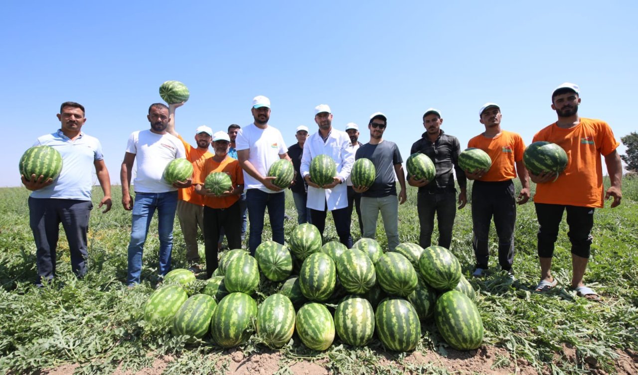Konya’da en çok karpuz üreten ilçe belli oldu! 