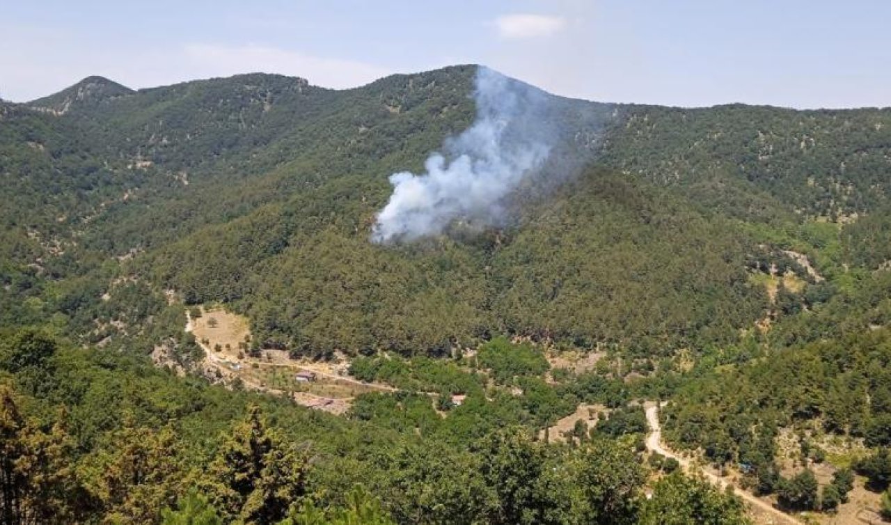  Hatay’da orman yangını