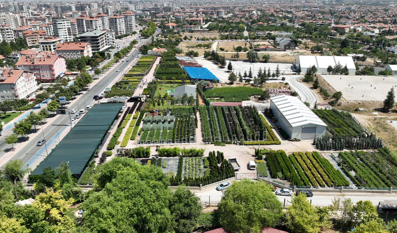  Konya’yı estetik alanda güzelleştirecek: Tam tamına 14 bin metrekarelik alanda kurulu 
