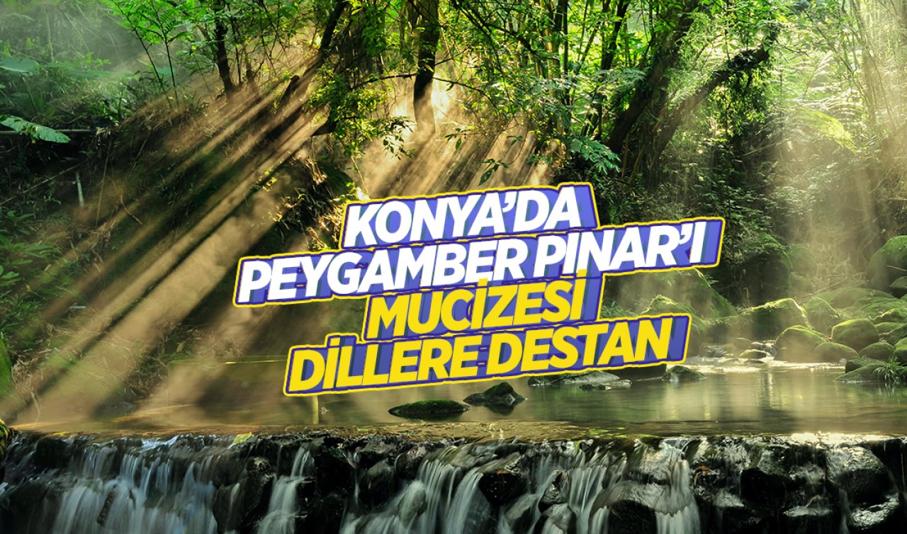 Konya’da kimsenin bilmediği yer: Peygamber Pınar’ı 