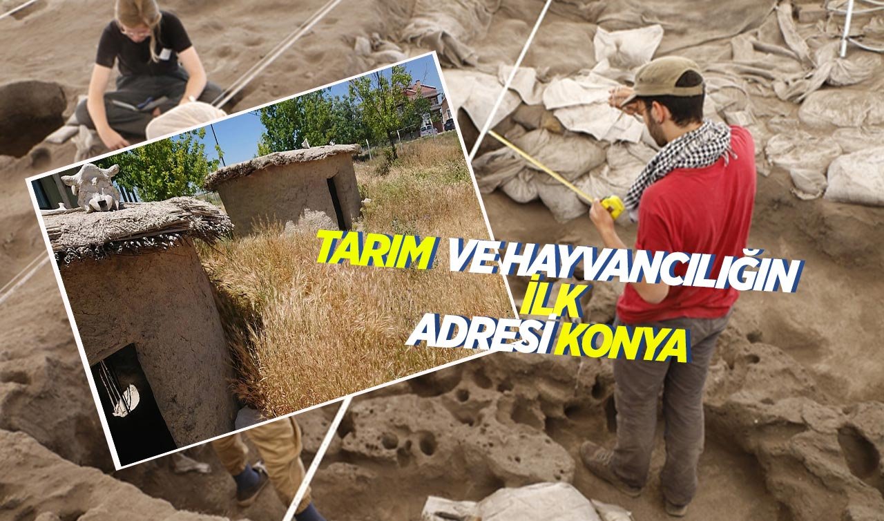  Konya’da bulunan bu yer Çatalhöyük’ten bin yıl daha eski!