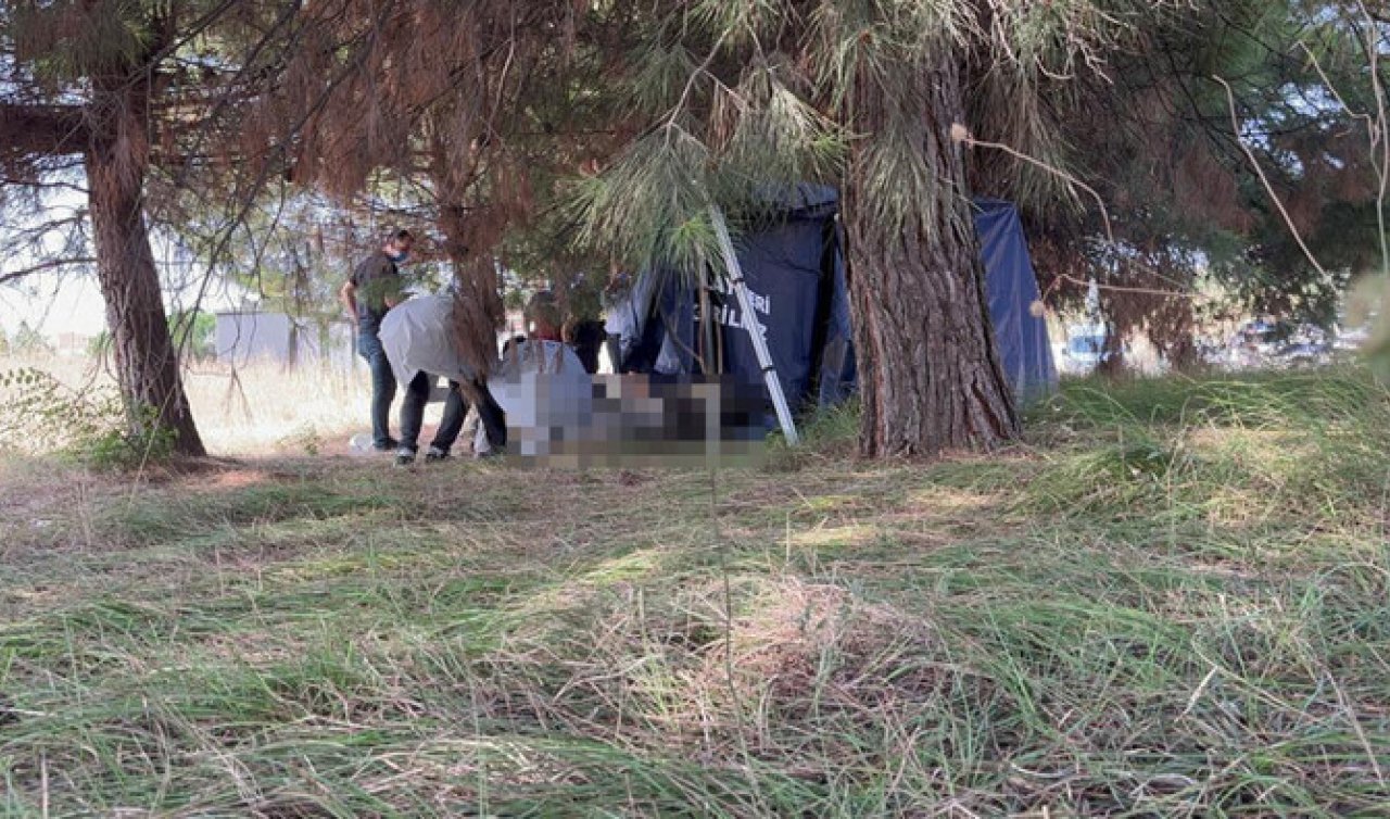 Yol kenarındaki ormanda erkek cesedi bulundu