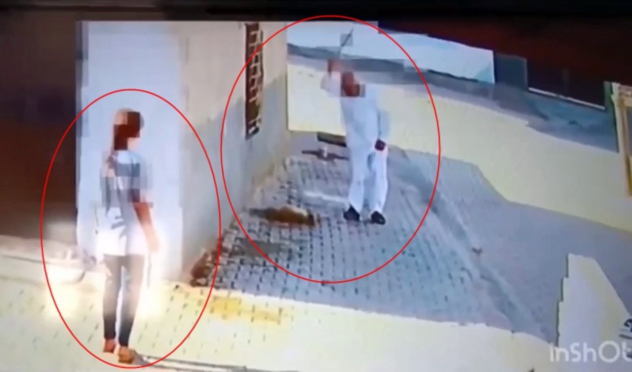 Yavru köpeği demir çubukla başına defalarca vurarak öldürdü