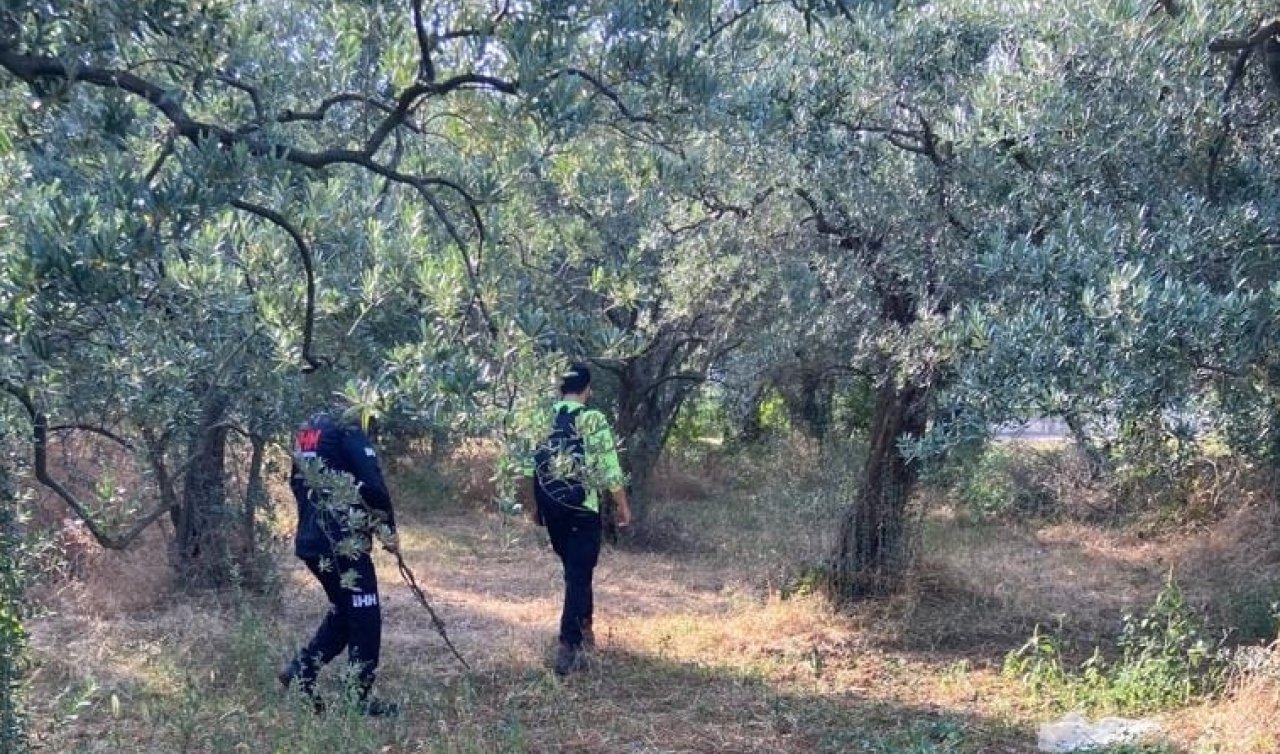 Kaybolan öğretmen için arama çalışması başlatıldı
