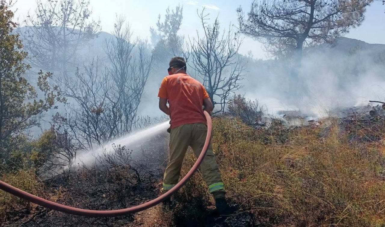  Sakarya’da çıkan yangında yaklaşık 8 dönüm ağaçlık alan yandı