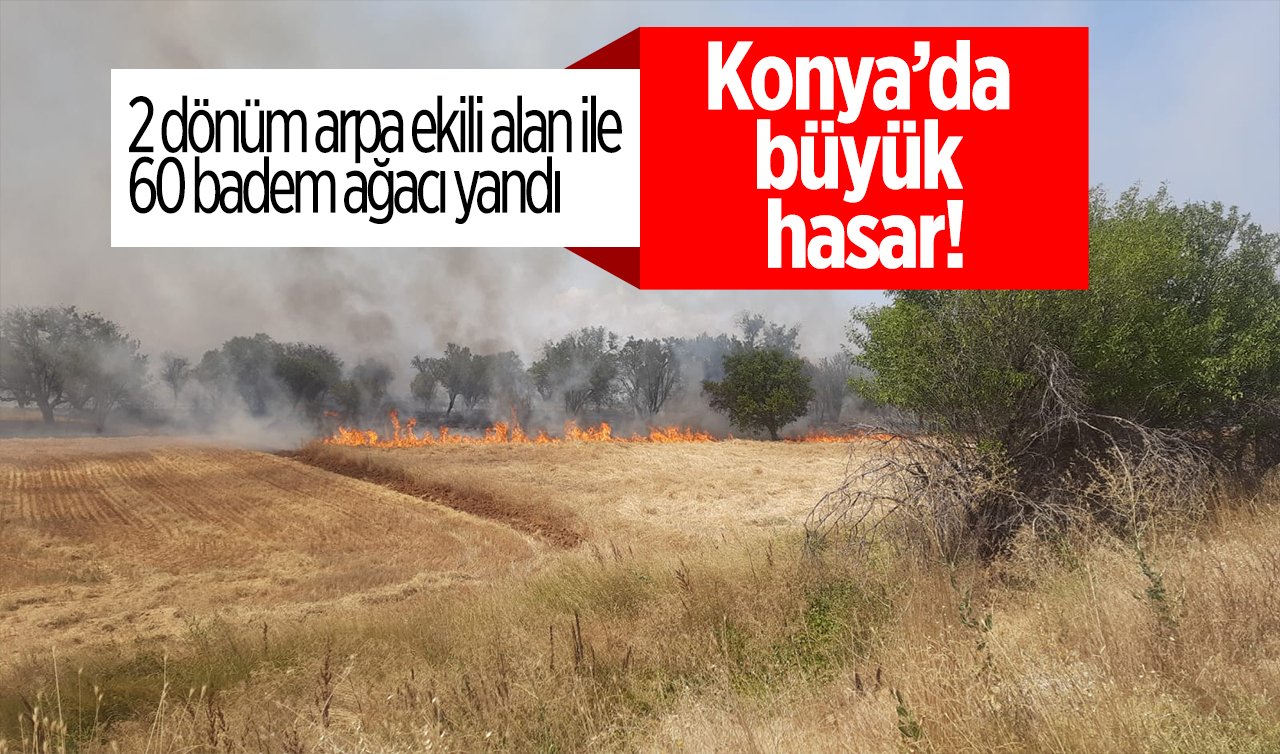 Konya’da büyük hasar! 2 dönüm arpa ekili alan ile 60 badem ağacı yandı
