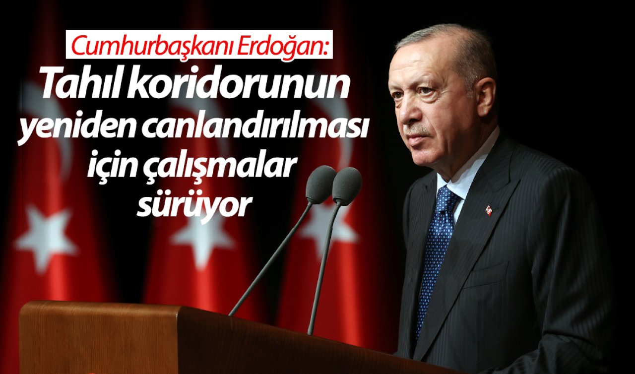 Cumhurbaşkanı Erdoğan: Karadeniz girişiminin canlandırılması için çalışmalarımız sürüyor